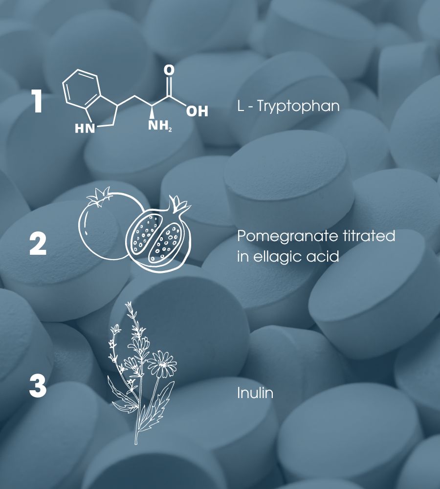 Image depicting the ingredients of IBS product, remedy for irritable bowel disease